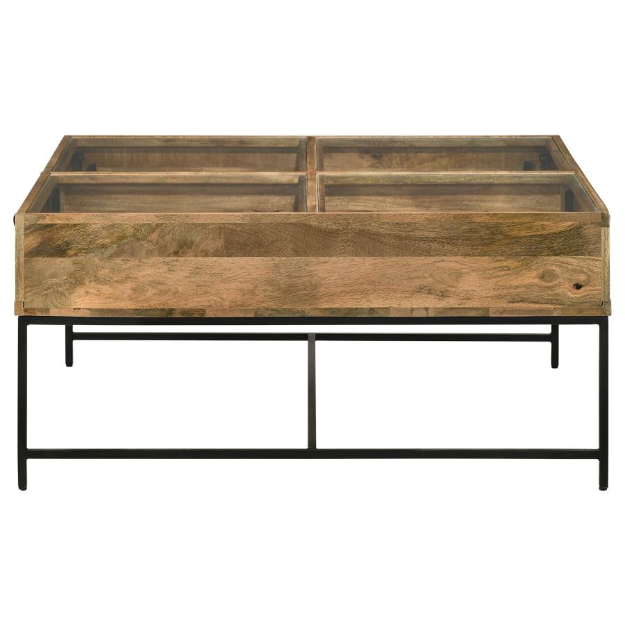 Stephanie Glass Top Storage Coffee Table