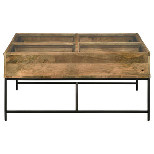 Stephanie Glass Top Storage Coffee Table