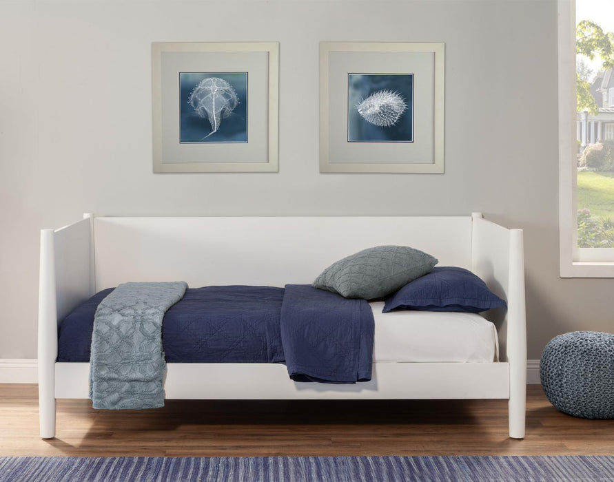 Flynn Daybed (Multiple Finishes)